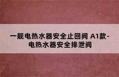 一靓电热水器安全止回阀 A1款-电热水器安全排泄阀